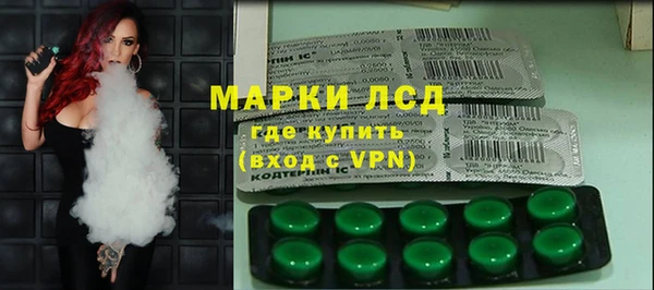 ешки Медногорск